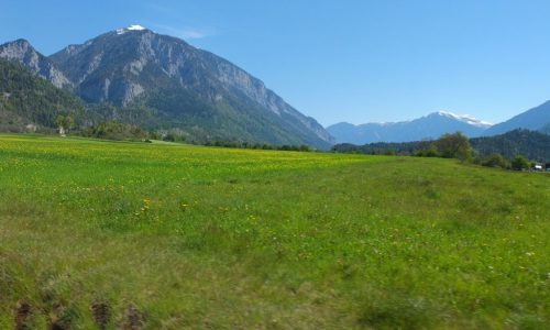 DSCF5574